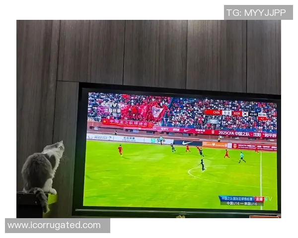 精彩足球赛事抖音竖屏直播全程回放与精彩瞬间分享