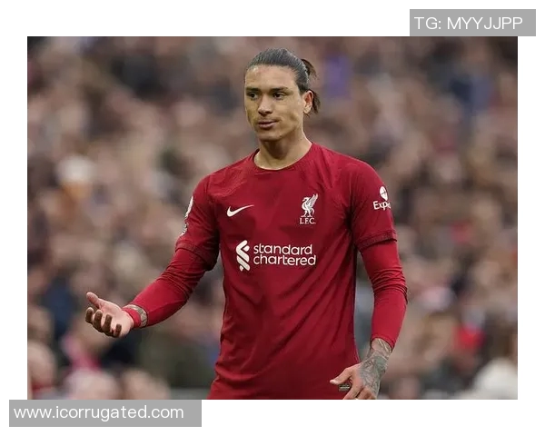 努涅斯在赛场上的崛起与挑战解析以及未来发展展望