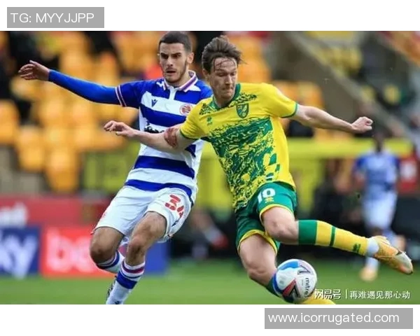 桑德兰与雷丁比赛前瞻及比分预测分析，谁能在对决中胜出