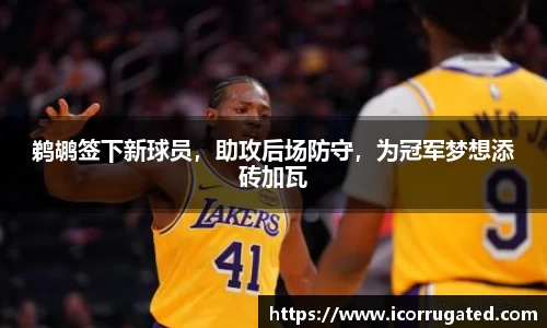 鹈鹕签下新球员，助攻后场防守，为冠军梦想添砖加瓦