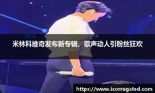 VSport网址