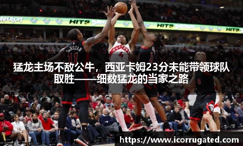 猛龙主场不敌公牛，西亚卡姆23分未能带领球队取胜——细数猛龙的当家之路