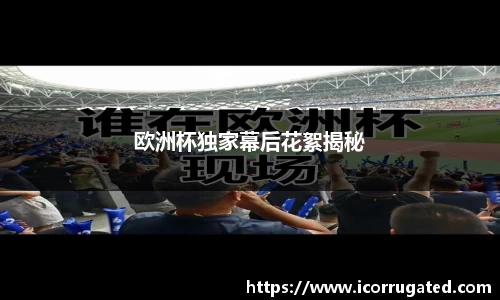 VSport网址
