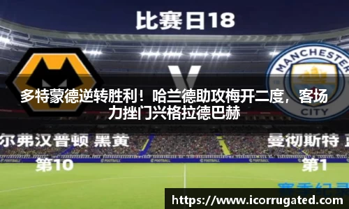 VSport网址