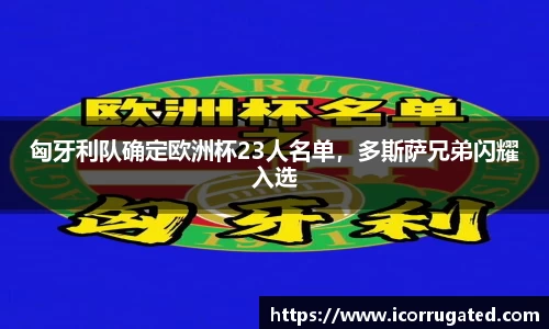 VSport网址