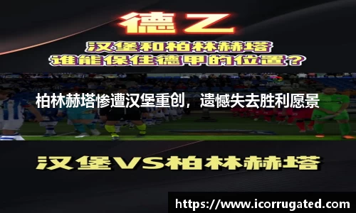 VSport体育