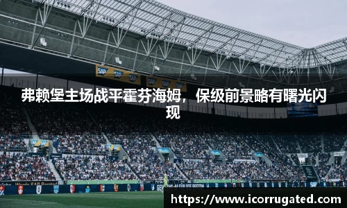 弗赖堡主场战平霍芬海姆，保级前景略有曙光闪现