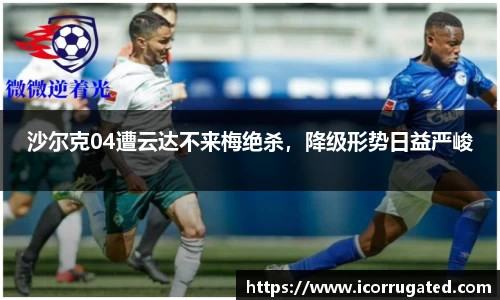 VSportAPP