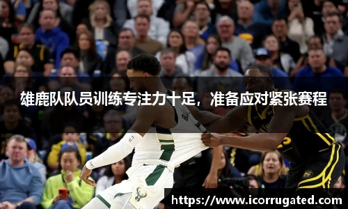 VSport官网