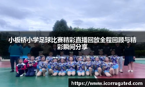 VSport网址