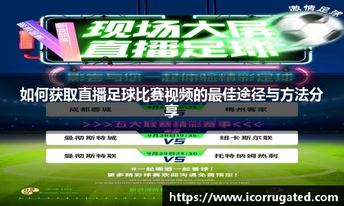 VSport体育