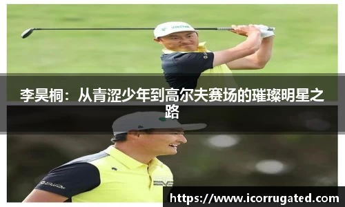 VSport网址