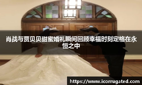 肖战与贾贝贝甜蜜婚礼瞬间回顾幸福时刻定格在永恒之中