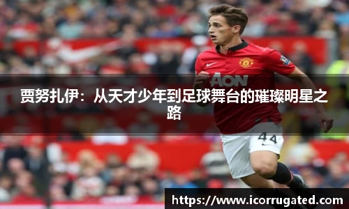 VSportAPP