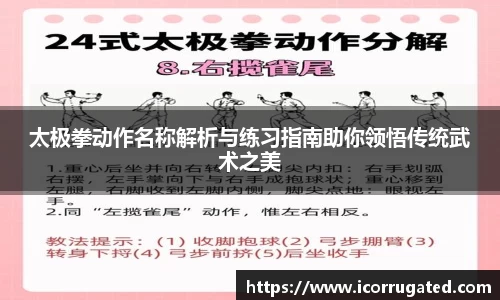 VSport官网