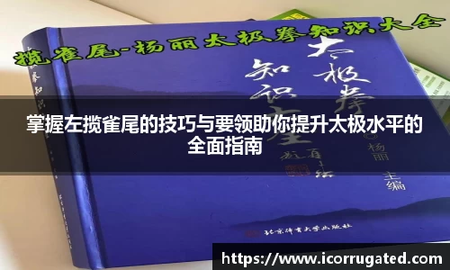 掌握左揽雀尾的技巧与要领助你提升太极水平的全面指南