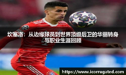 坎塞洛：从边缘球员到世界顶级后卫的华丽转身与职业生涯回顾